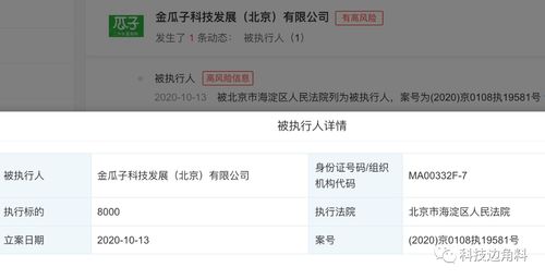 瓜子二手車成被執行人，8000元執行標的牽出技術開發糾紛